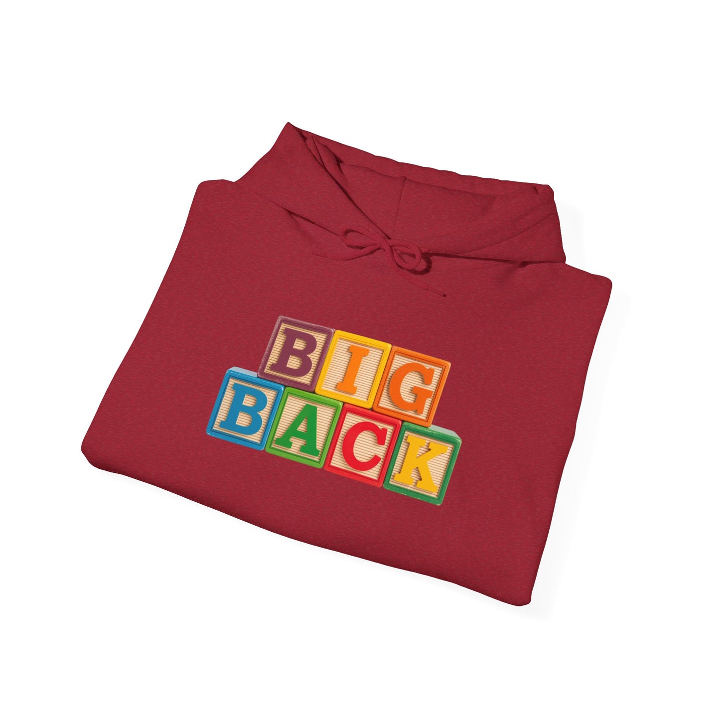 Blocked "Big Back" Hoodie