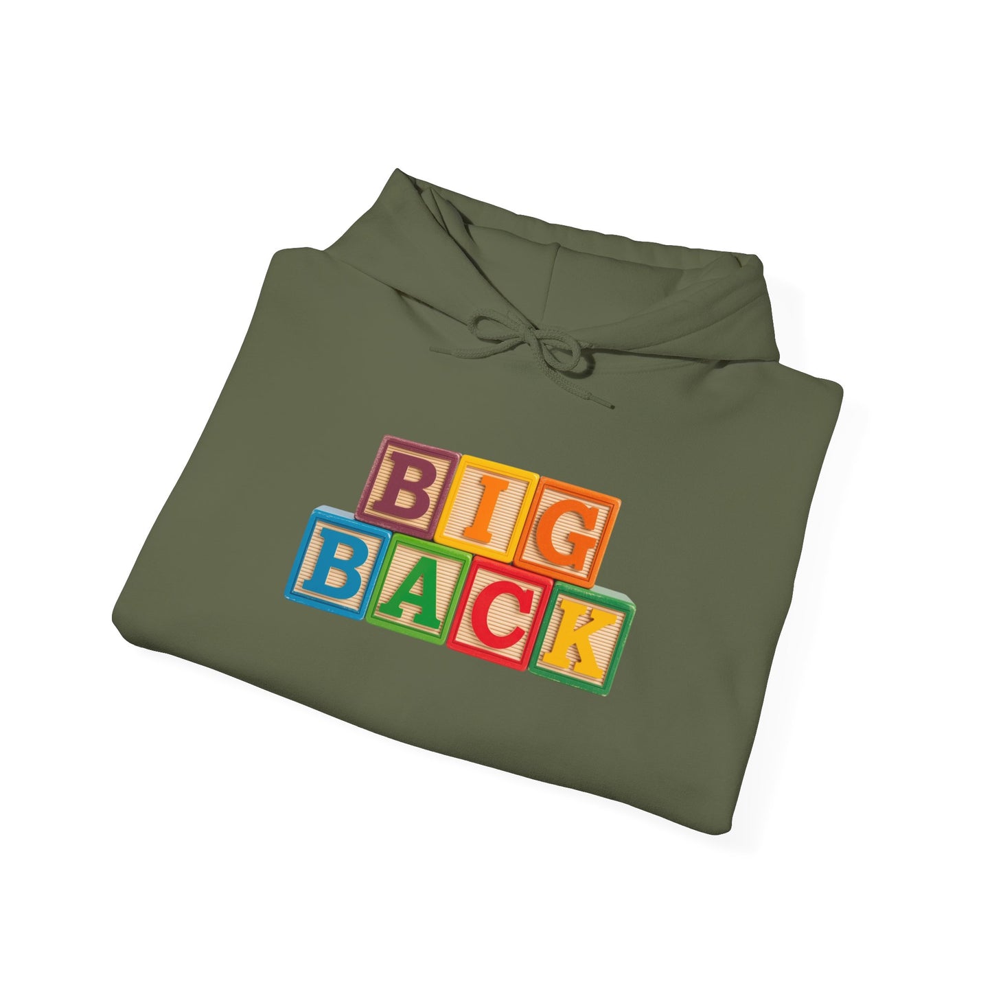 Blocked "Big Back" Hoodie