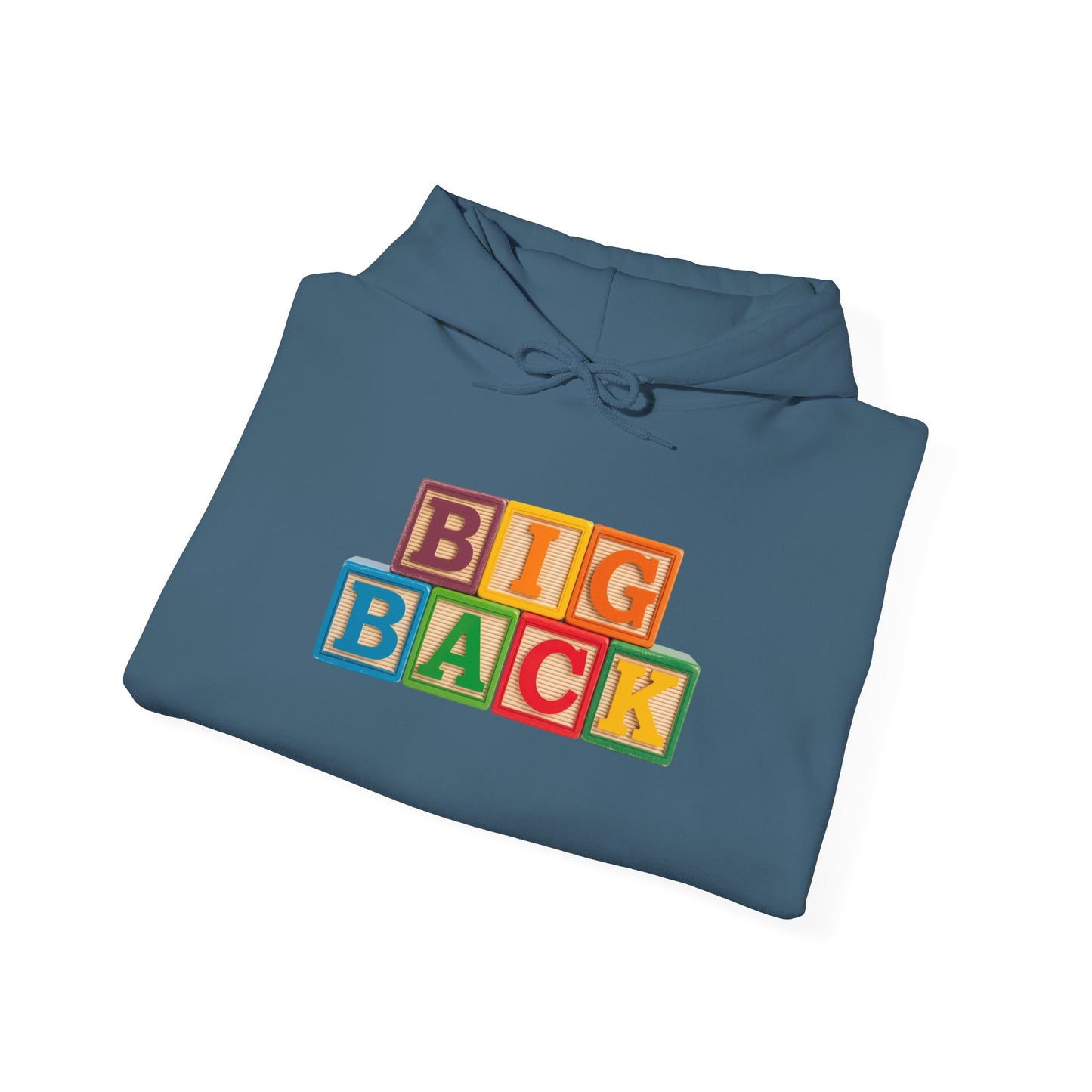 Blocked "Big Back" Hoodie