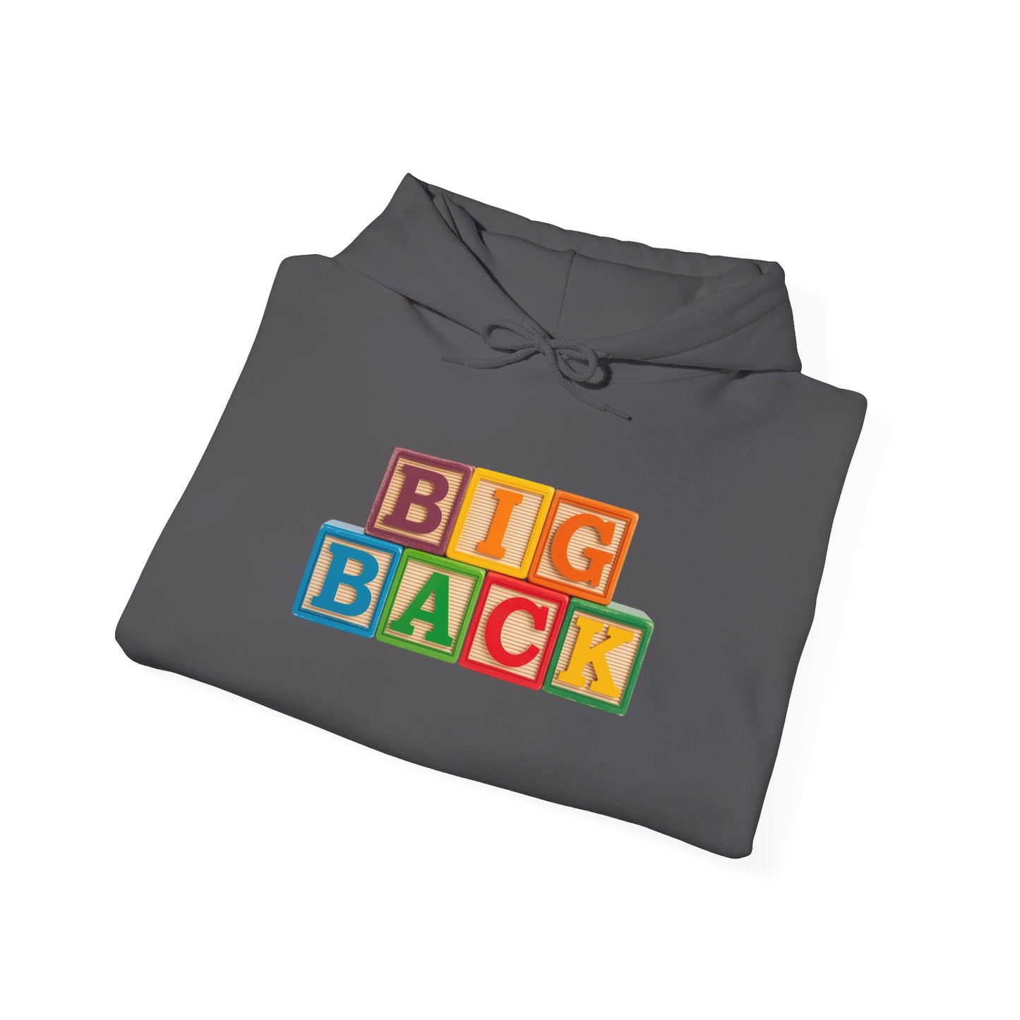 Blocked "Big Back" Hoodie