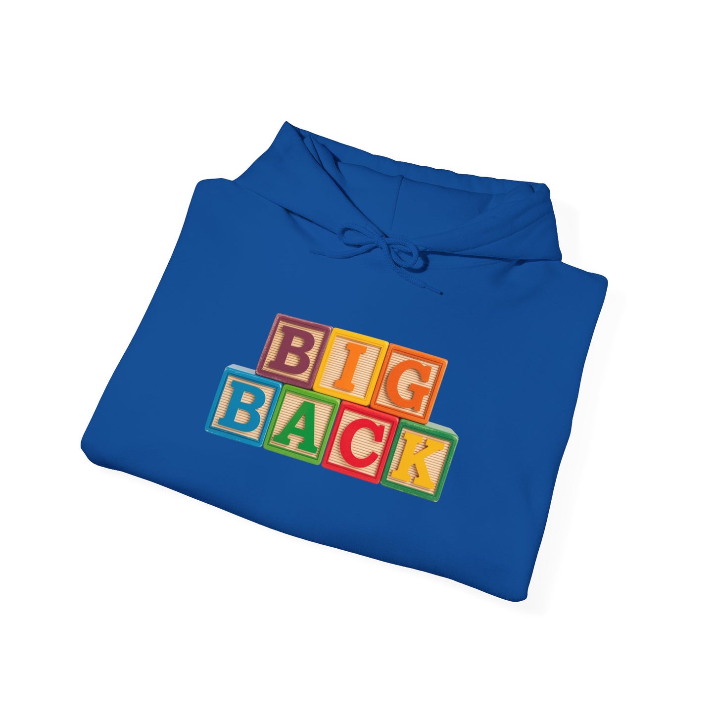Blocked "Big Back" Hoodie