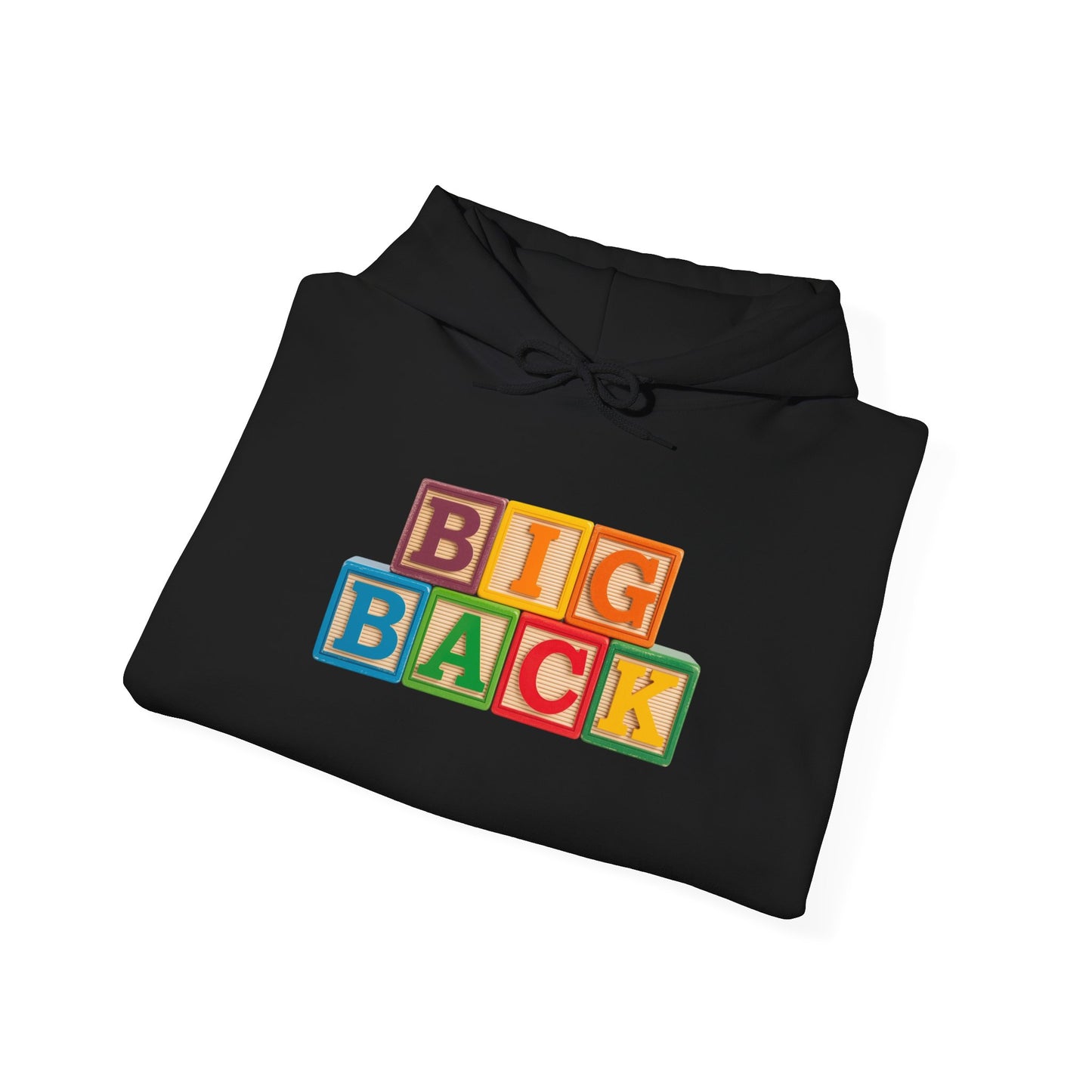 Blocked "Big Back" Hoodie
