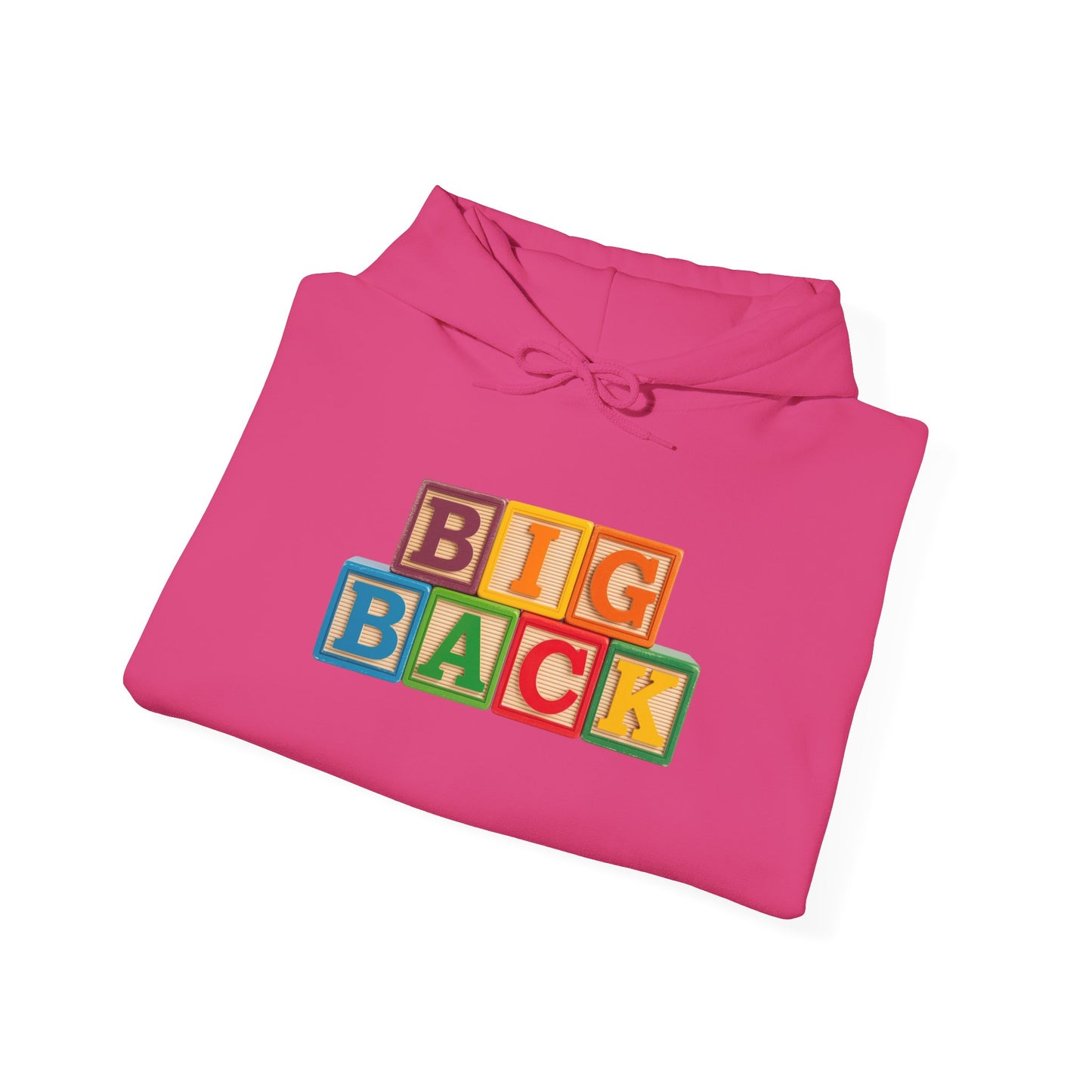 Blocked "Big Back" Hoodie
