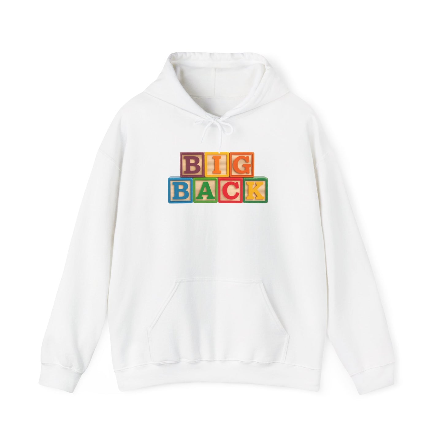 Blocked "Big Back" Hoodie