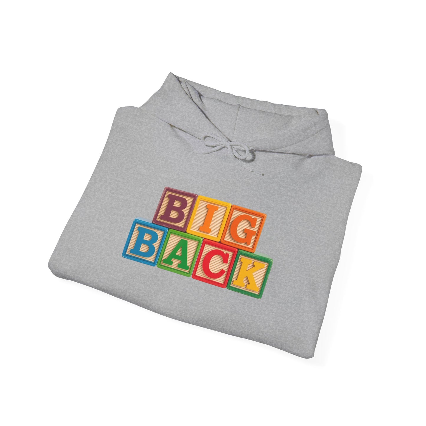 Blocked "Big Back" Hoodie