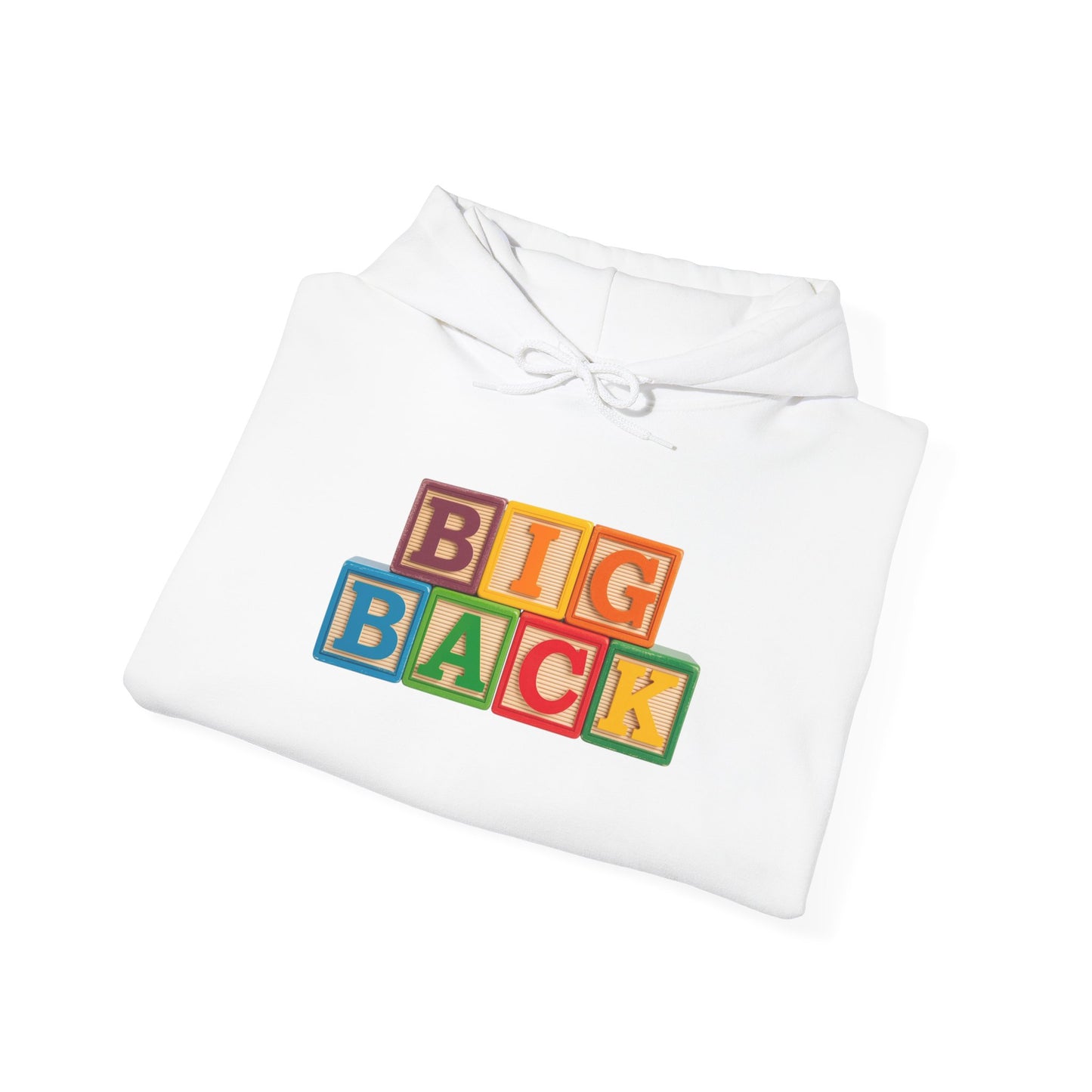 Blocked "Big Back" Hoodie